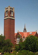 佛罗里达大学