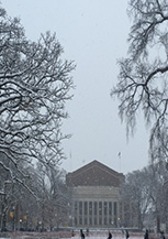 明尼苏达大学双城分校