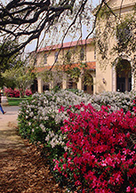 路易斯安那州立大学