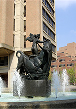 田纳西大学