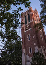 密歇根州立大学