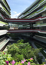 新加坡科技设计大学